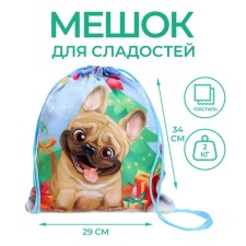 Bag for sweets of 290 x 340 mm, 