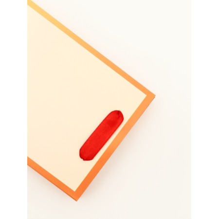 Laminated package for a bottle "Bant", 13 x 36 x 10 cm-3