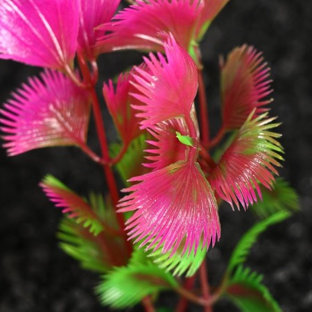 Set of plants of artificial aquarium on a stand under stone (size 1 pc 10x2.5x1.5 cm)-3