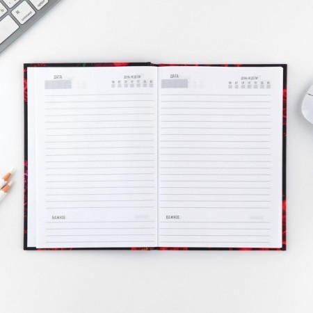 Set "Blave": pen and diary 80 sheets-4