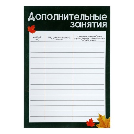 Lesets sheets for a schoolboy portfolio, 15 sections, 17 sheets of "rocket", in a folder-3