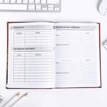 Diary “Teacher: Teacher Diary”, firm cover cardboard 7BC, A5 format, 160 sheets-5