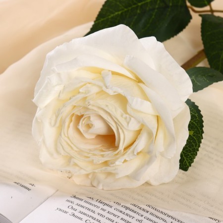 Artificial flowers "Rose Aesthetics" 10x49 cm, white-1