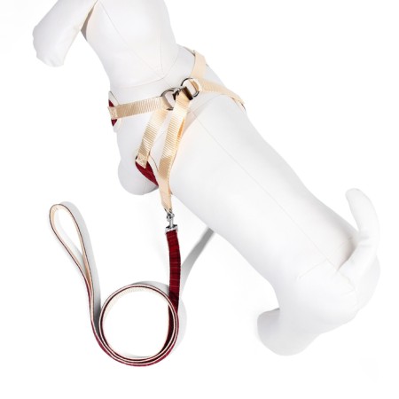 A set with a soft cliff "cells", size m, leash, 120 x 1.5 cm, og 34-66 cm, red-2
