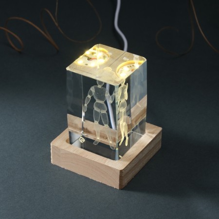 Souvenir Glass backlight "Rectangle. Sharpish person" Standing tree, USB 7x7x10-7