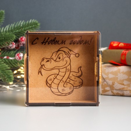 New Year's piggy bank with acrylic "Snake in the cap" 12x12x4 cm-1