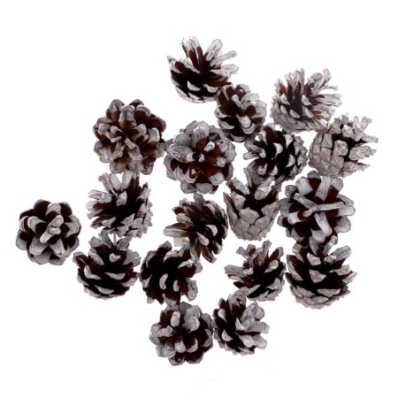 New Year's set of cones "White Tale" 75 g-1