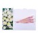 Money envelope "Congratulations!" White flowers, 8.3 x 16.2 cm