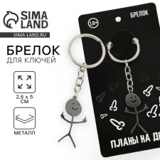 Брелок для ключей металличский с приколом "Планы на день", 7 х 3 см