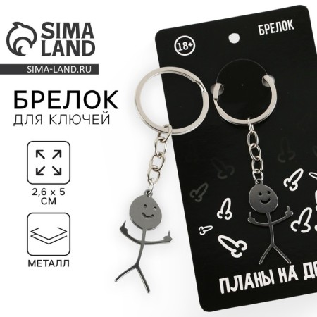Metallic key keychain with a joke "Plans for the Day", 7 x 3 cm