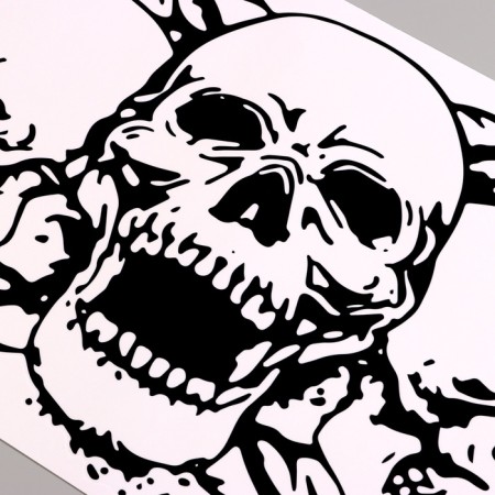 Stick 3D interior skull 57*40cm-2