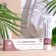 Procramida cream for dry skin with signs of peeling 50 ml
