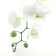 Bathroom curtains Orchidea, 180x200 cm
