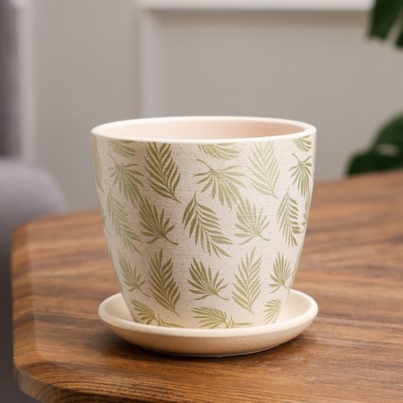 Flower "Palm" Gold Crocus No. 1 0.7 L