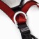 The strapping is complete, master to