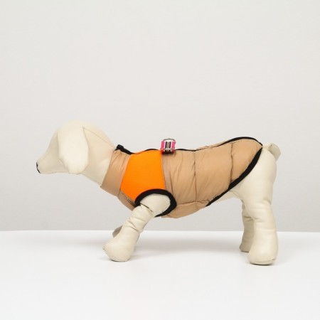 Lightning dog jacket, size 12 (ds 28 cm, OG 38 cm, Osh 27 cm), beige with orange-4