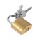 The castle of a hinged type 14, 20 mm, 2 keys