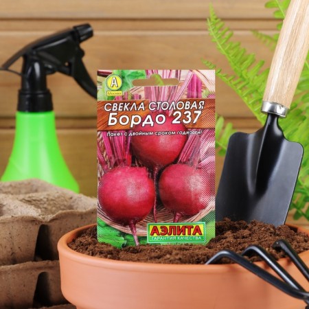 Seeds of beetroot "Bordeaux 237" "Leader", 3 g,-2
