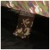 Tourist tent, trekking Maclay Military 2, 2-seater
