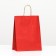 Craft package, scarlet velvet, with twisted handles, 31.5 x 25 x 10.5 cm