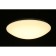 Ceiling chandelier Berkeley LED 3000-6500K 40W