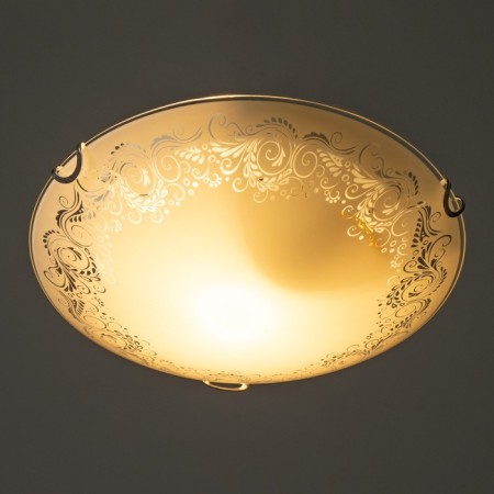 The lamp is wall-flowing "Cheremsha" 1x60W E27 d.25cm.-2