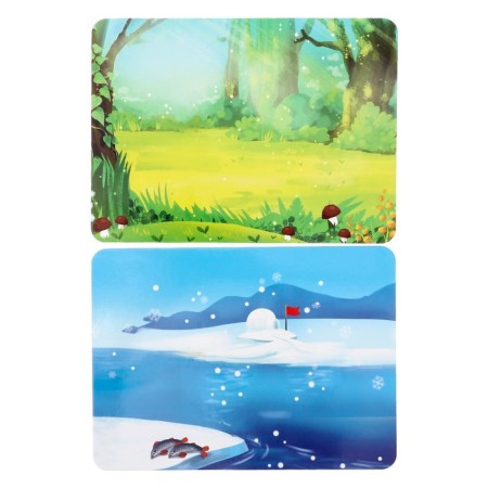 Magnetic set "Who lives where?", In the package-4
