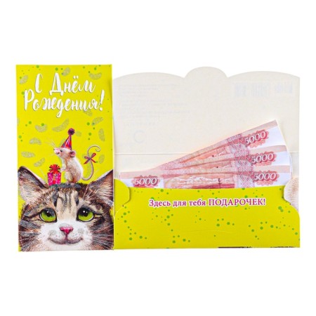 Money envelope "Happy Birthday!" Cat, mouse, 8.5 x 17 cm