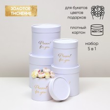 Set of round boxes 5 in 1, 