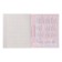 Subject Calligrata "Monotone", 36 sheets in a cage English, with reference material, cover coated paper, block No. 2, whitewash 75% (gray sheets)