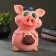 Piggy bank "Picky in a hat" 17x14x23cm