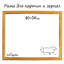 Frame for paintings (mirrors) 40 x 50 x 2.8 cm, plastic, calligrata 6528, gold