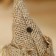 Orak-Domovaya "Moneybag, with a paper face, on a magnet", 11x10x3 cm mix