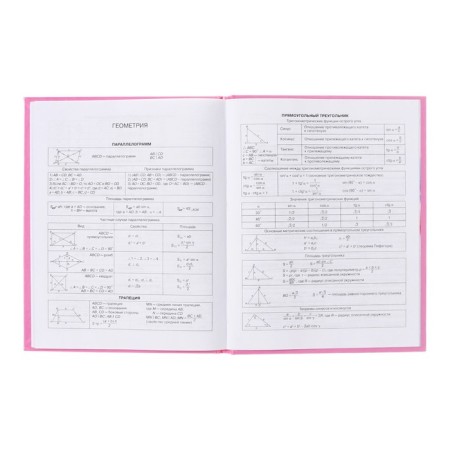 Diary 5-11 class Cat, 48 sheets, solid cover, glossy lamination, foil embossing, offset block-9
