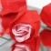Soap roses, red-pink, set 24 pcs.