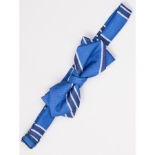 Tie-butter for boys ise, blue color