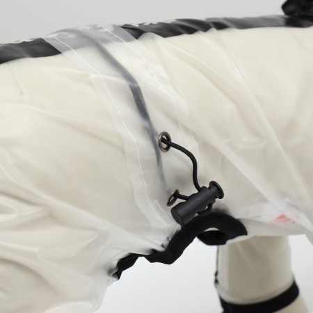 Complete raincoat for dogs, rr m (DS 30, OG 40, Osh 31.5 cm, weight 5-7 kg), transparent-7