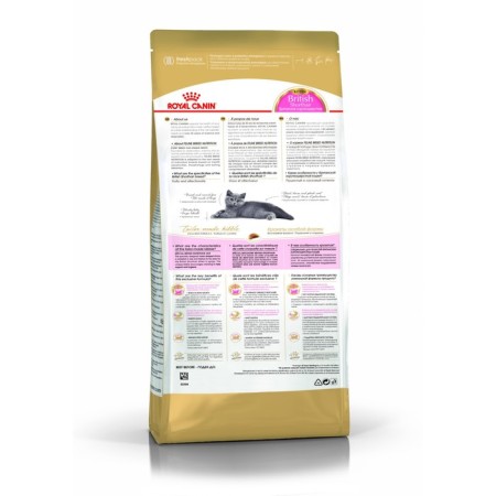 Dry food RC Kitten British Shorthair for British kittens, 2 kg-1