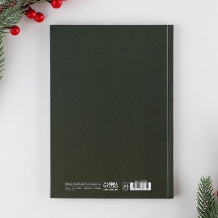 New Year. Diary Classic "Miracles Time", 7BC A5, 80 sheets-5