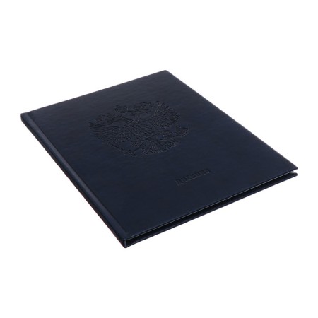 Premium-Deviller is universal, for the 1-11 grade Vivella "Symbols of Russia", cover artificial leather, blue-8