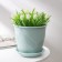 Pot for flowers with the pallet "Venice", 2 l, d = 16 cm, mint color