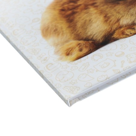 Universal diary for grades 1-11, "hare", solid cover 7BC, glossy lamination, 40 sheets-3