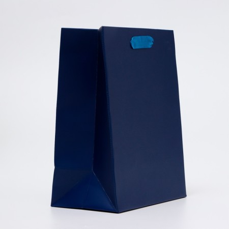 Laminated packet "Blue", MS 18 × 23 × 10 cm-1