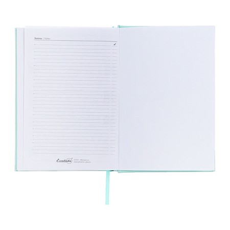Dated 2025 diary, A5, 176 sheets of Escalada, a solid cover of artificial leather with foam rubber, pancake embossing, liesse, block 70 g/m2, green-14