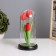 Night "Tulips" LED 3HAAA Red 10.5x10.5x22cm