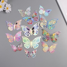 Stick paper, plastic 