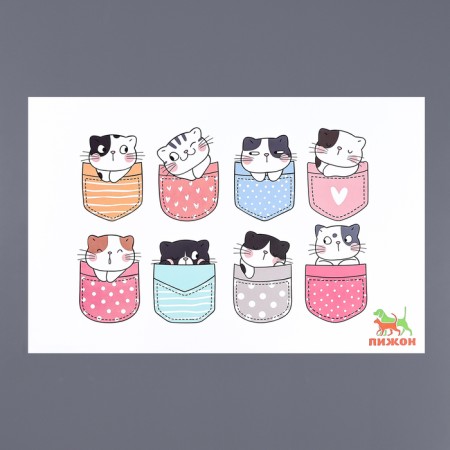 A rug for a bowl "Pigzon" 43 x 28 cm "cats in pockets"-2