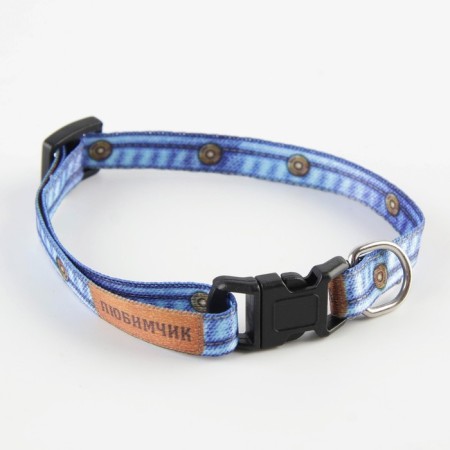 A collar for dogs and cats with Fasteks "Favorite", 30x1 cm-1