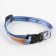 A collar for dogs and cats with Fasteks "Favorite", 30x1 cm