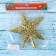 Tips "Star" openwork, 20x20.5 cm, gold